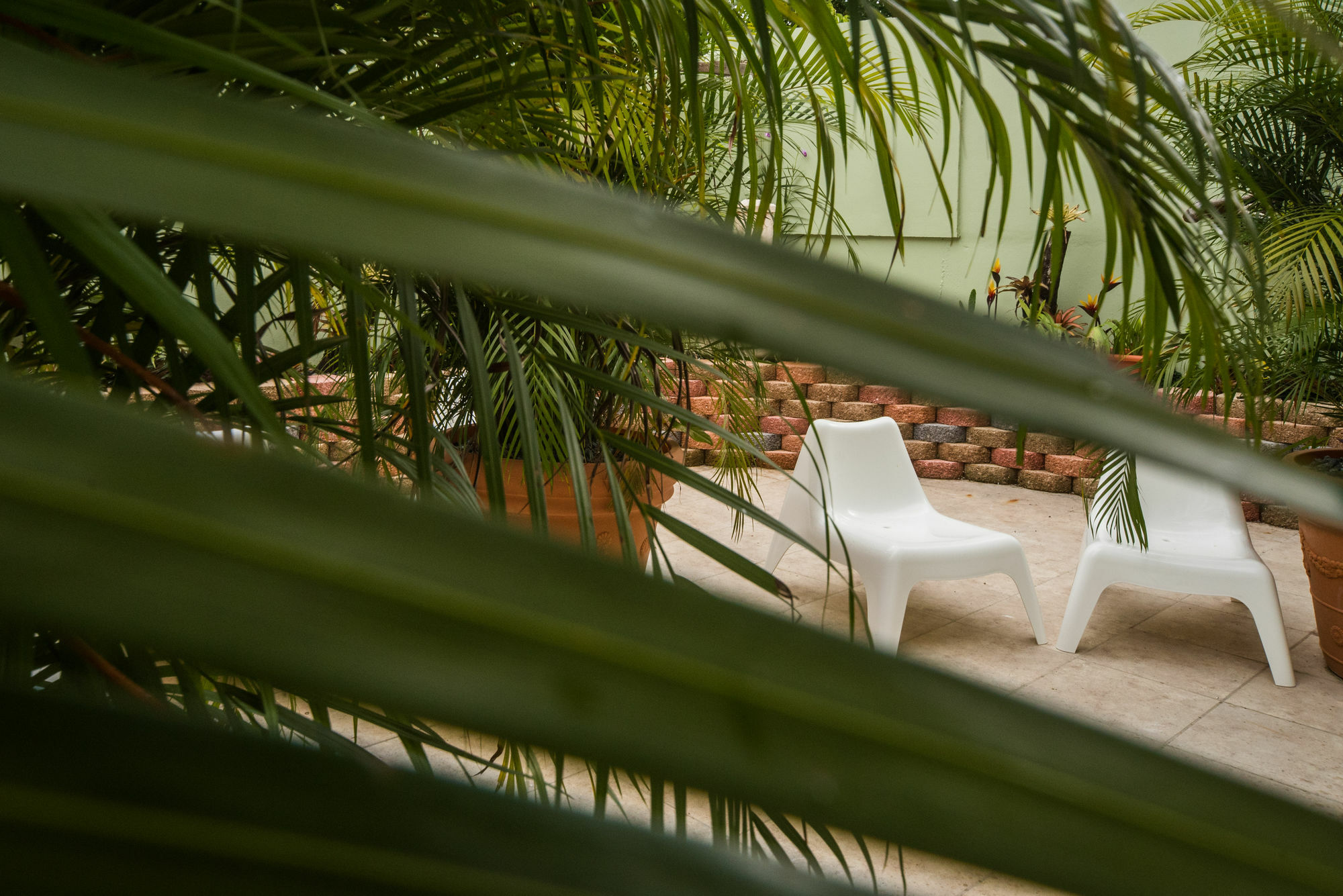 Rincon Plaza Hotel Luaran gambar